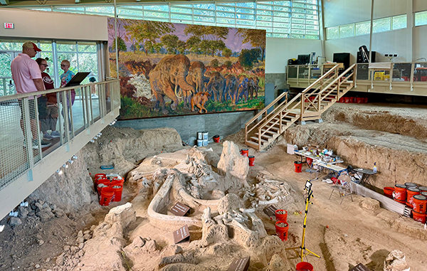 Waco Mammoth National Monument Dig Shelter