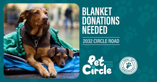 two dogs curled up in a blanket