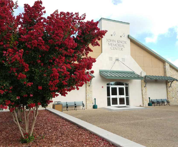 Red Crepe Myrtle tree in bloom