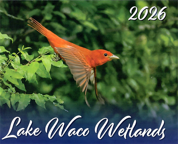 2026 Lake Waco Wetlands Calendar Cover featuring a red bird