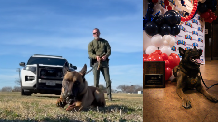Collage of two photos: Police Officer Mike with K9 Ike and K9 Andor at award ceremony