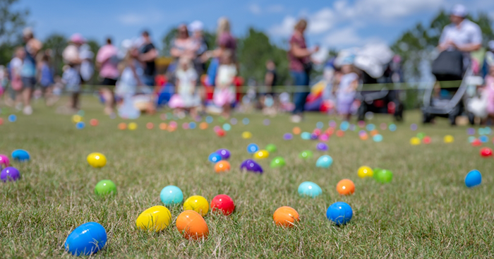 Community Easter egg hunt taking place on a grassy field