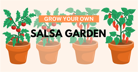 Salsa garden graphic