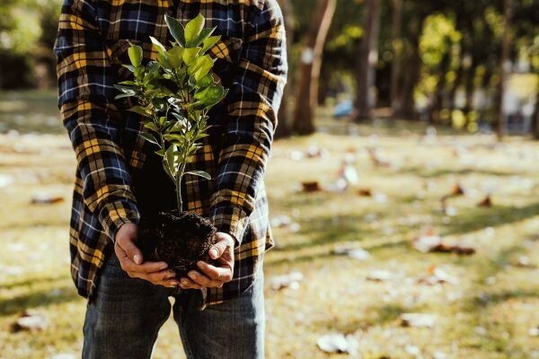 National Arbor Day - Community Tree Giveaway