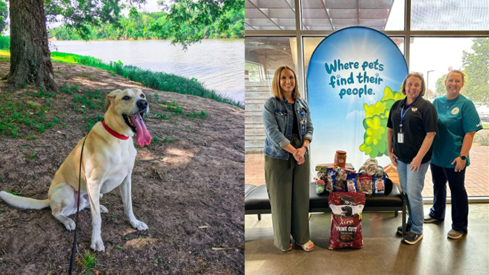 Photo of Griffin a happy dog on the river bank and photo of City staff delivering donation to animal shelter