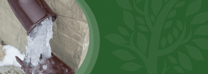 Freezing temperatures on the way; prepare now.