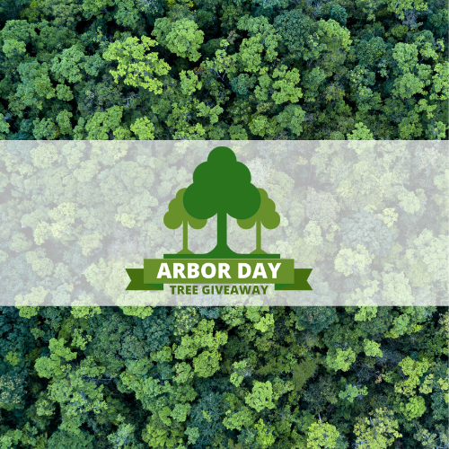 Arbor Day Tree Giveaway