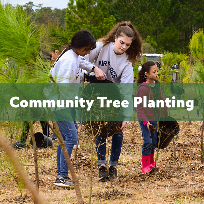 Community Tree Planting