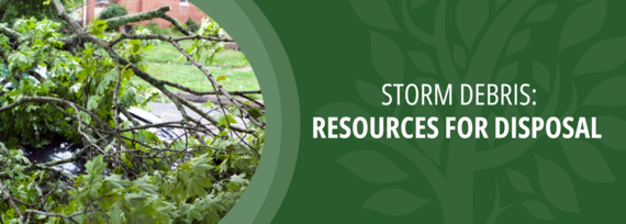 Storm Debris Removal