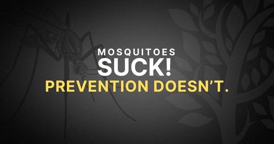 Mosquito Prevention