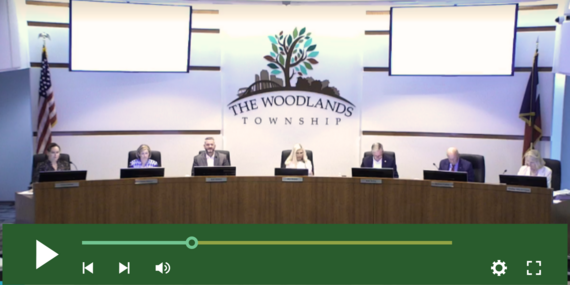 Screenshot of online meeting