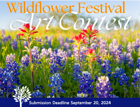 photo of wildflowers with deadline stated of September 20, 2024