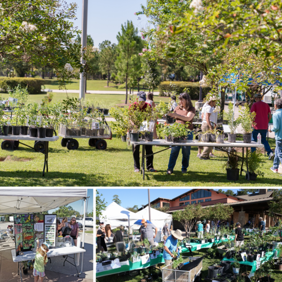 Photos of residents buying plants and learning at various booths at Woodlands Landscaping Solutions