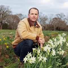 picture of a man in a field of flowers