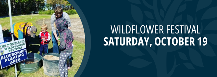 Wildflower Festival Saturday October 19 Graphic