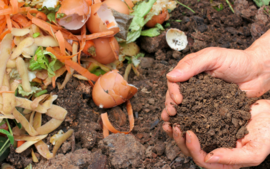 person holding compost