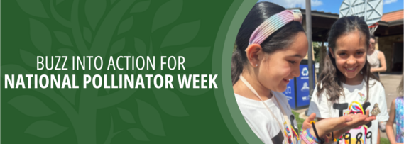 Buzz into Action for National Pollinator Week; Photo of two children looking at a butterfly.