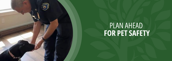 Plan Ahead  for Pet Safety; Photo of person petting a large black dog