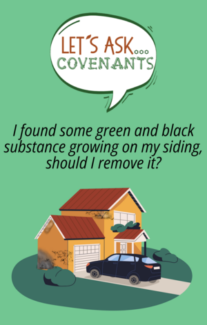 Let's ask Covenants, "I found some green and black substance growing on my siding, should I remove it?"