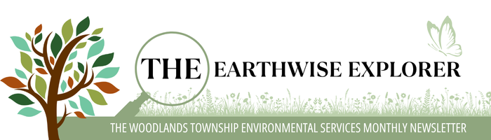 The Earthwise Explore Newsletter Banner