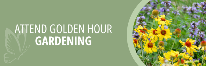 Attend Golden Hour Gardening