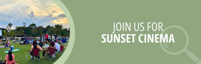 Join Us for Sunset Cinema