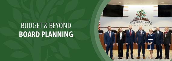 Budget & Beyond Board Planning