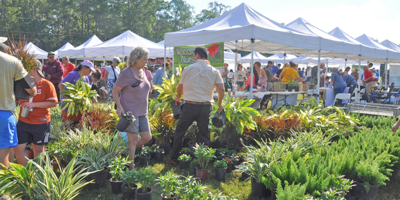White Vendor tents and residents picking up potted plants