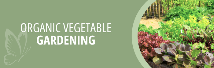 Organic Vegetable Gardening