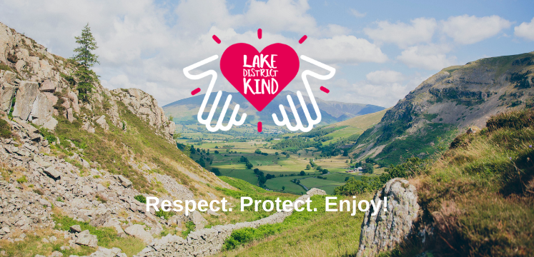 Respect campaign from LDNP