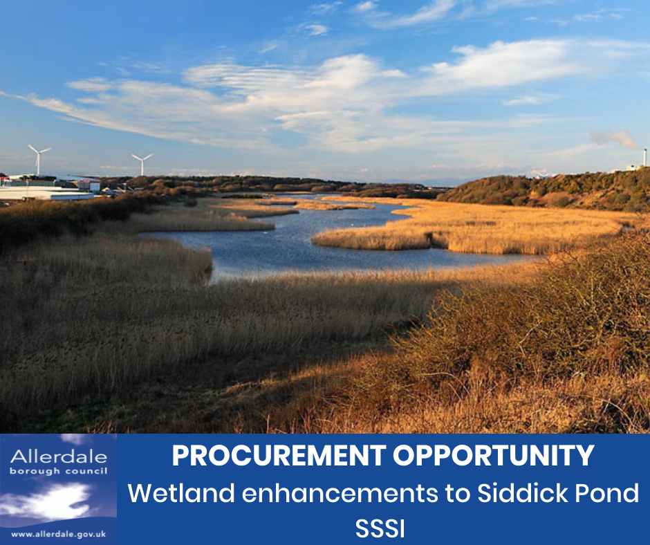 Siddick Pond Procurement