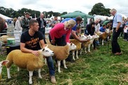 Cockermouth show