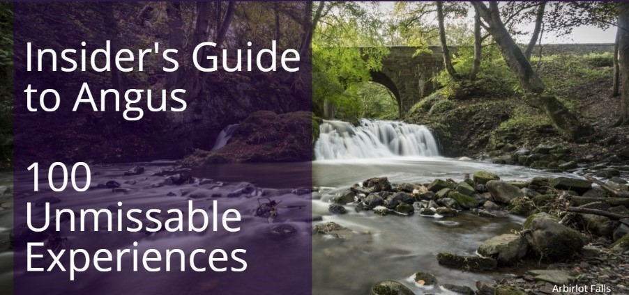 Insiders Guide to Angus