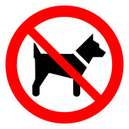 No dogs