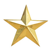 Gold star