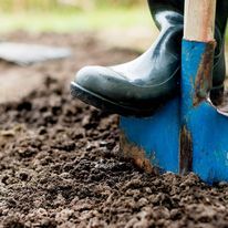 garden digging