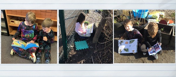 World Book Day 2025 Woodlands PS