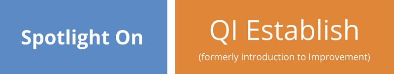 Spotlight on QI Establish (formerly Introduction to Improvement)