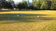 Parks litter