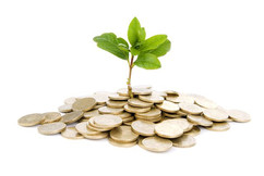 Growth Image - Plant stem growing from money