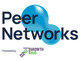 Peer Networks
