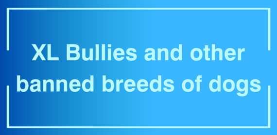 XL bullies and other banned breeds of dogs