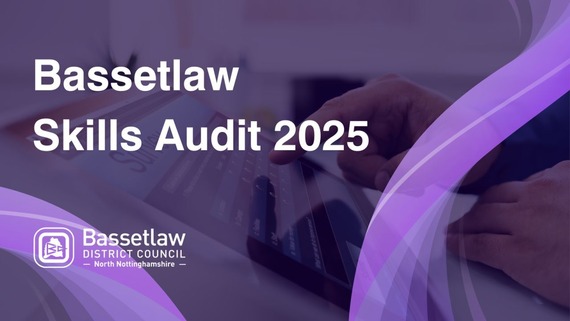 Bassetlaw Skills Audit 