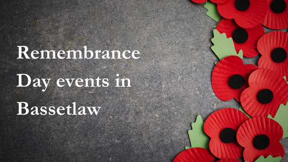 A collection of paper poppies.