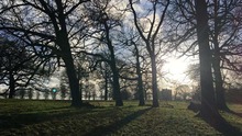 Hardwick Hall through the winter trees