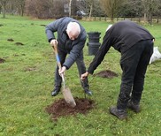 two men planting a tree