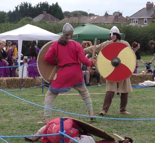 Vikings at Langwith Show