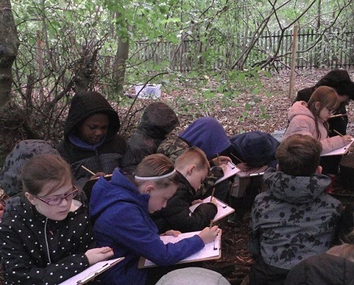 children outside in a wood doing school work