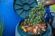 Woman throwing cut plants and vegetables into a compost bin