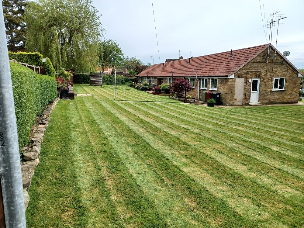 Rear garden of council bunglaows